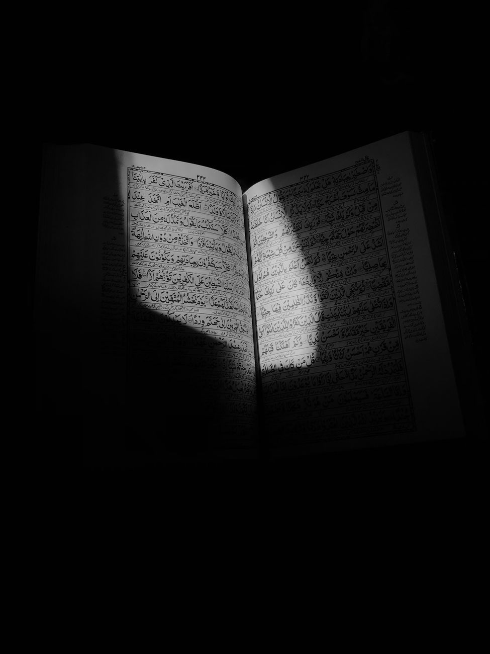 holy quran under sunlight